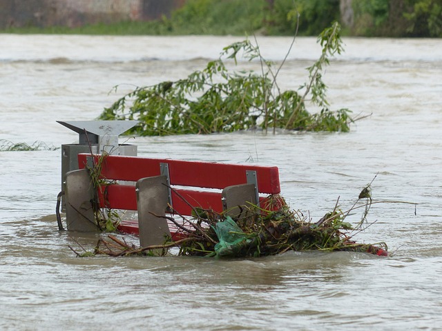 flooded vehicles