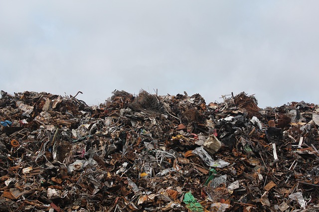 car disposal