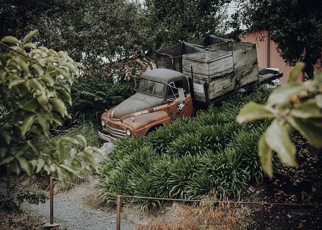 used car