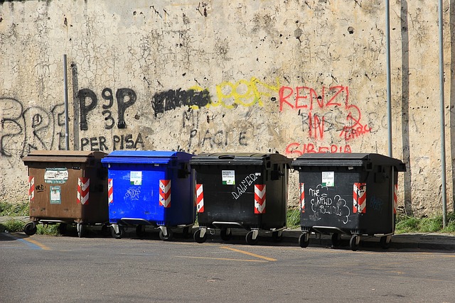 car disposal