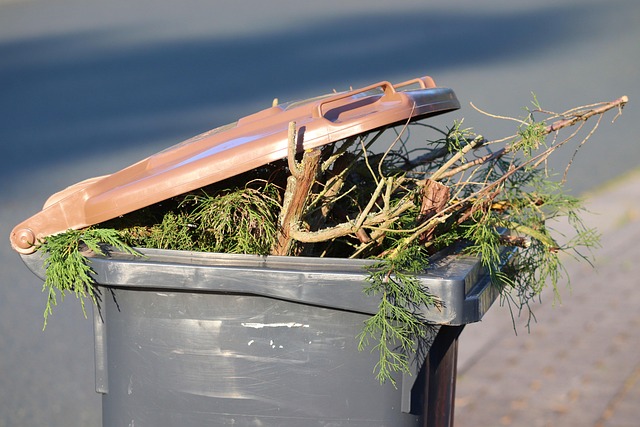 car disposal