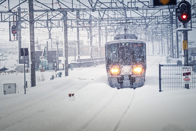 winter