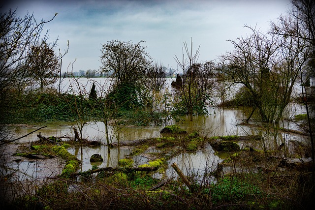 flood