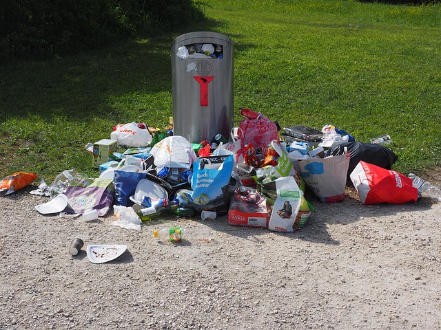 car disposal